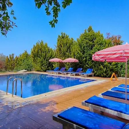 Yildirim 3, Private With 70m2 Pool Βίλα Φετιγιέ