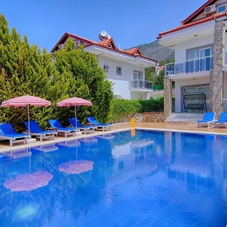 Yildirim 3, Private With 70m2 Pool Βίλα *