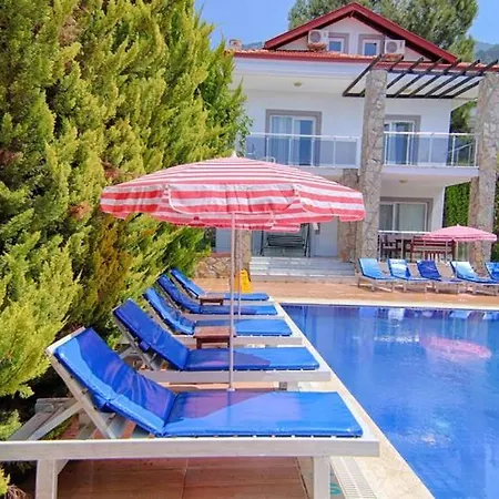 Yildirim 3, Private With 70m2 Pool * Φετιγιέ
